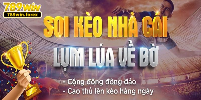 Chia sẻ những kỹ thuật bắt kèo cá độ bóng đá hiệu quả